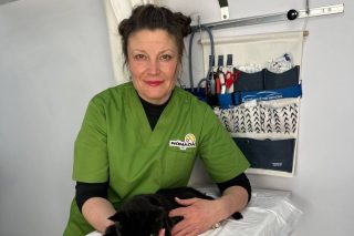 Veterinaria sostiene un gato negro